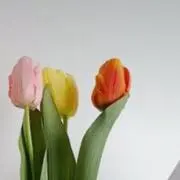 即購入OK♥GW期間商品到着遅くなるかもの画像