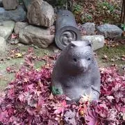 kita2443/プロフ要確認(≧▽≦)の画像