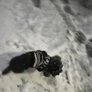 ︎︎