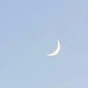 沙羽