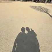 毛玉の画像