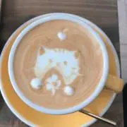 Hasの画像