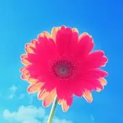 ハナハナ