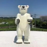 さーの画像