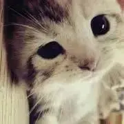 みぃ