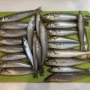 あおき丸の画像