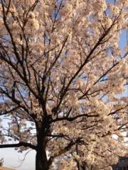 ひろの画像