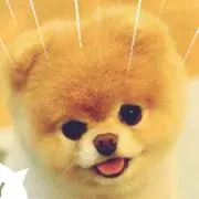 エル1222の画像