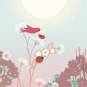 sucreyの画像