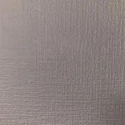 ボンゴレの画像