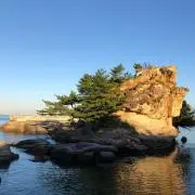 だいきの画像