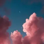 シオサイの画像