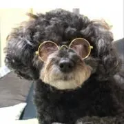 koda33の画像