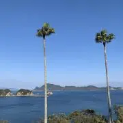 TSの画像