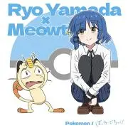かめの画像