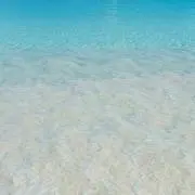 ちょび助