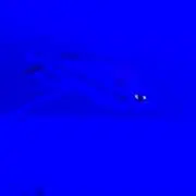 みのきちの画像