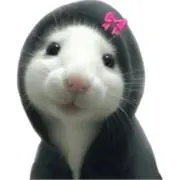 ニャーニャー