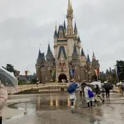 aaの画像