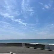 しじみの画像