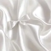 ムーンチャンの画像