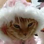 みぃ