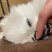 ^_^