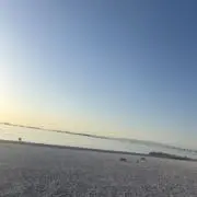 はるの画像