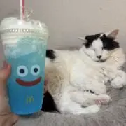 れおっぴ
