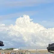 まめこ‪✮即購入可⭕️の画像