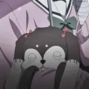 ぼーたろうちゃんの画像