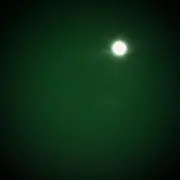 pokoの画像