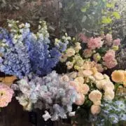 りんの画像