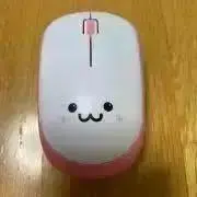 まいまいの画像