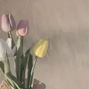 にょん