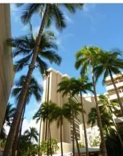 Aloha 1959の画像