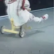 かーの画像