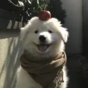 milksanの画像