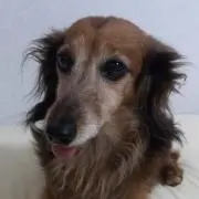 mi