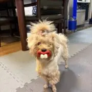 you