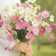 風花ꕤ*.゜の画像