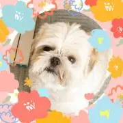 よもぎの画像