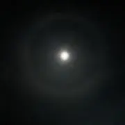 ゅ