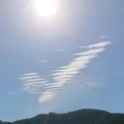 華の画像