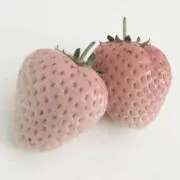 いちごの画像