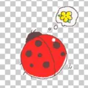 なないろ8*の画像