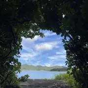 断捨離之助の画像