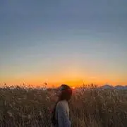 사나