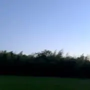 Sの画像