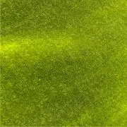BAMBOOの画像